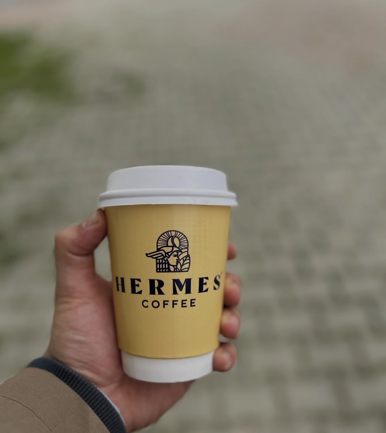 Hermes Coffee logolu baskılı karton bardak